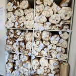 SKYROCK TEAM TO GERMANY