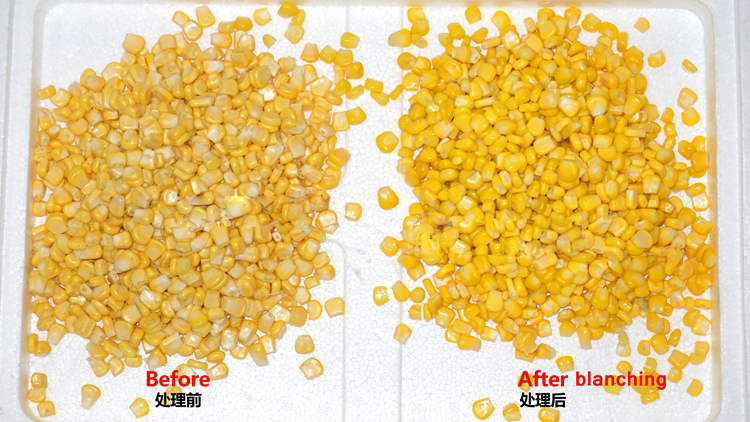 Automatic Line Processing Sweet Corn Maize Peeling Washing Blanching Dewatering